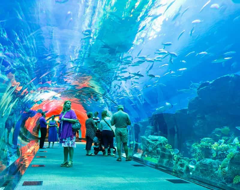 Aquatic Dubai: Atlantis Adventure, Aquarium & Yacht Brunch