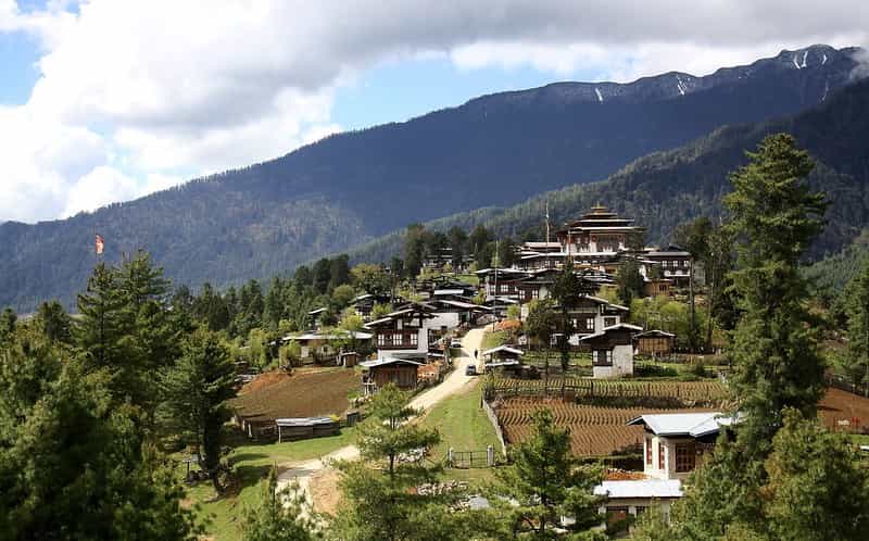 Gangtey Phobjikha Valley: Himalayan Crane & Nature Walks