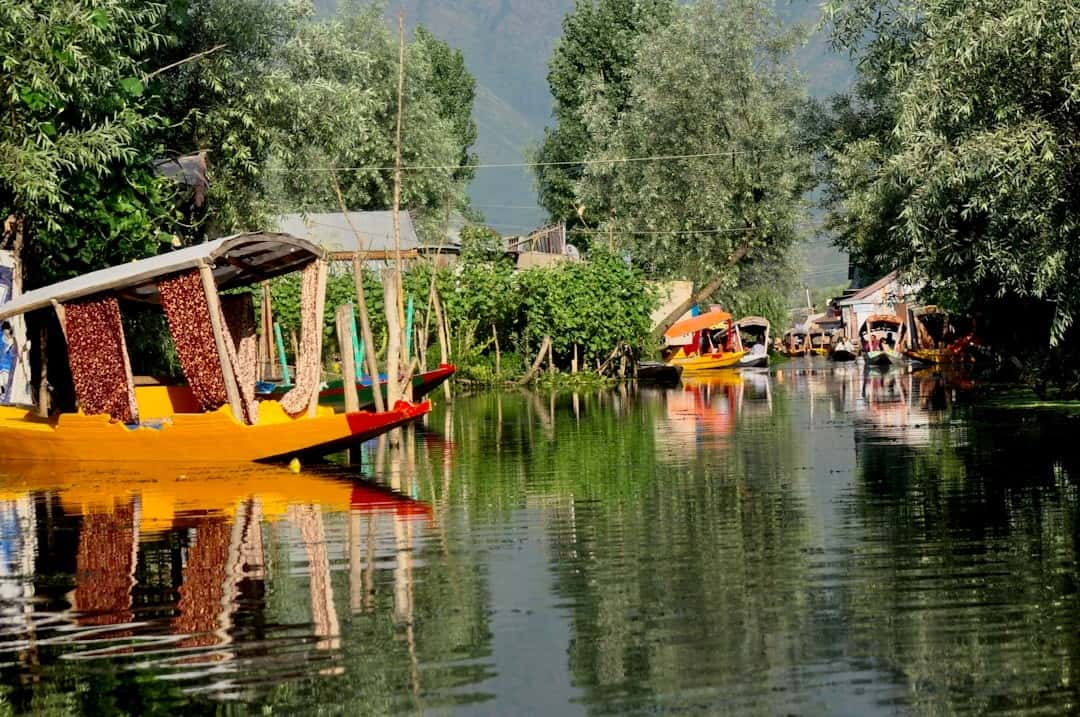 Kashmir Quick Escape: Srinagar Houseboat & Dal Lake Shikara Ride