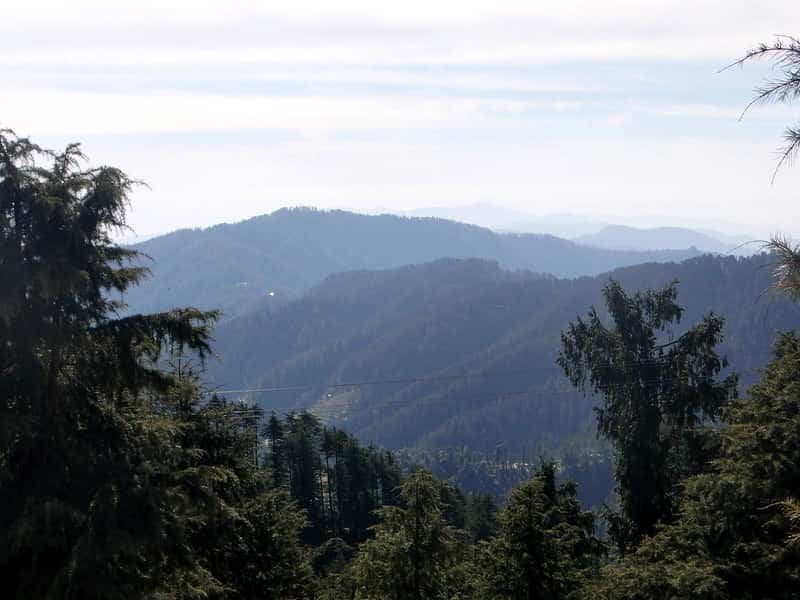 Shimla-Kufri-Kasauli Family Tour 5 Nights: Nature & Fun