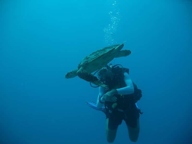 Seychelles Adventure & Relaxation: 9-Night Multi-Island Discovery