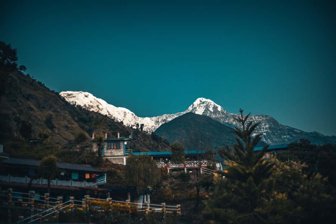 Luxury Family Escape: Spacious Suites & Curated Sikkim Activities