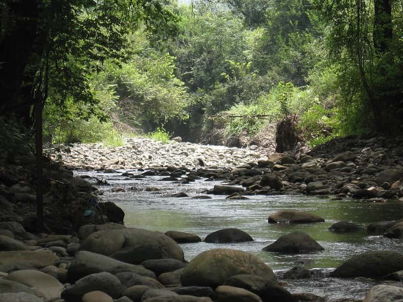 Wilderness & Wildlife: Dachigam National Park Safari from Srinagar