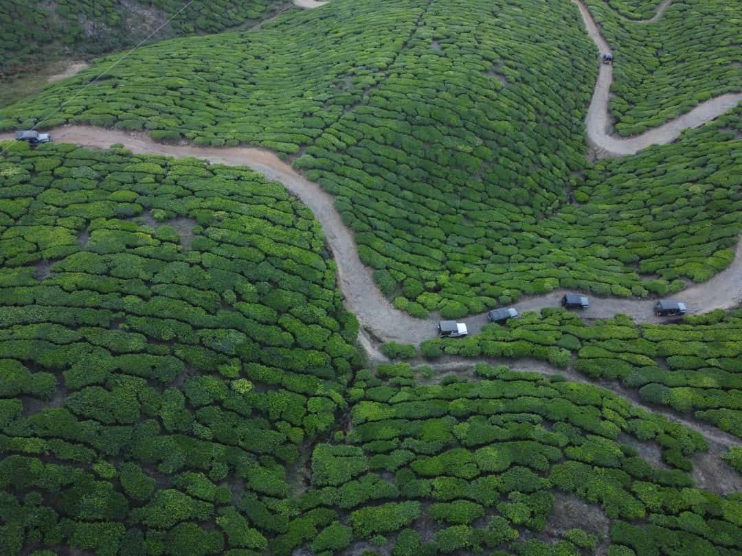 Kerala Honeymoon Escape: Munnar Tea Gardens & Alleppey Backwaters