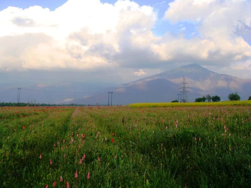 Cultural Kashmir Immersion: Local Crafts, Saffron Fields & Markets