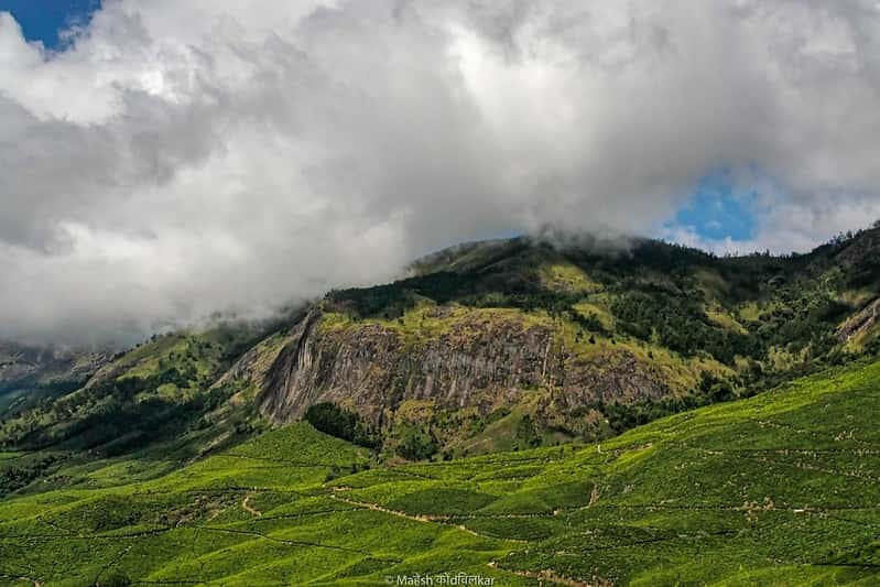 Tea Trails & Hilltop Romance: Munnar Luxury Cottage Stay