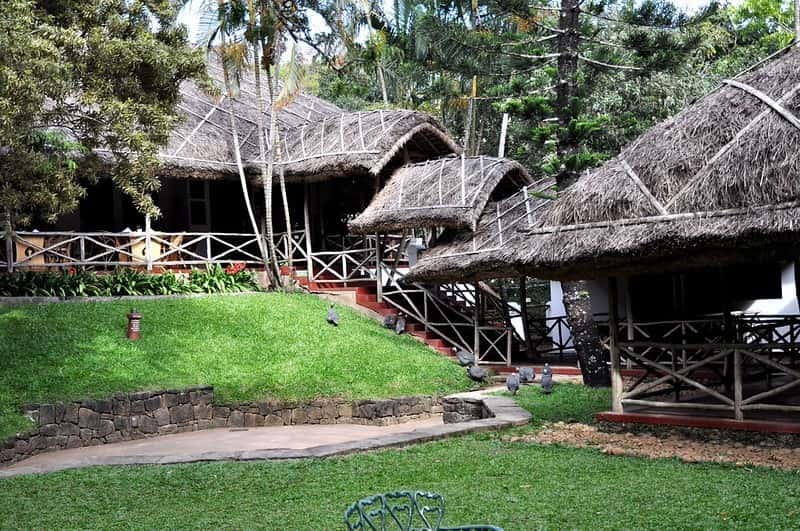 Thekkady Spice & Wildlife Discovery: Cardamom Plantations & Safari