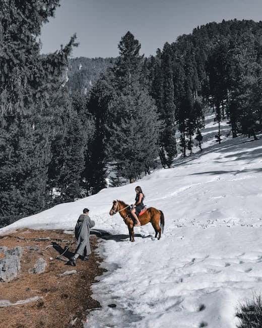 Pahalgam Adventure Family Package: Pony Rides & Valley Trails
