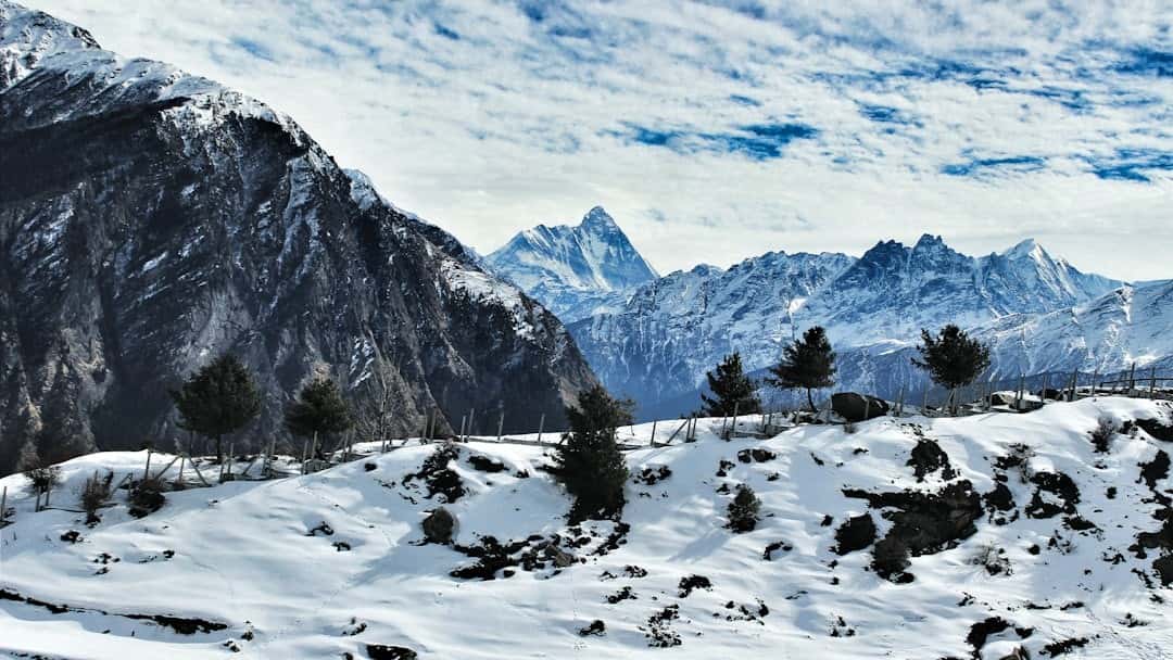 Auli Adventure Break: Skiing & Ropeway Experience in Uttarakhand
