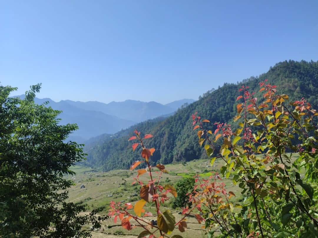 Valley of Flowers Express: Scenic Trek & Hemkund Sahib Visit