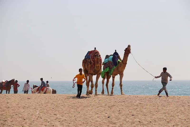 Family Beach Escape 6-Night: Mandvi, Diu & Water Activities