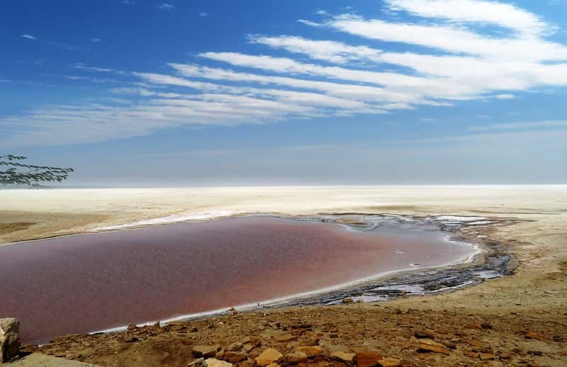 Complete Gujarat Explorer 8-Night: Cities, Desert, Coast & Wildlife