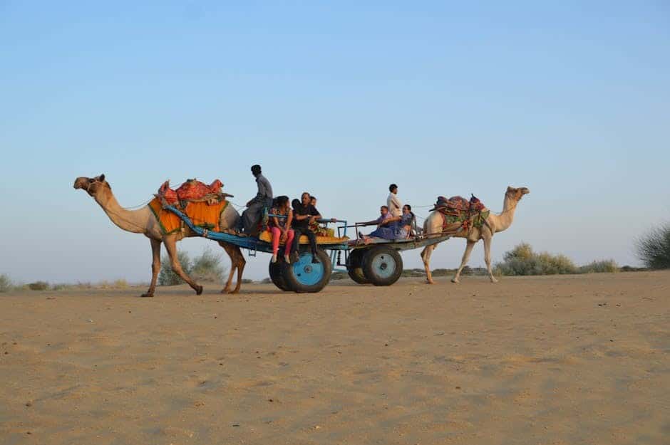 Royal Rajasthan & Camel Safari Family Package: Palaces to Plains