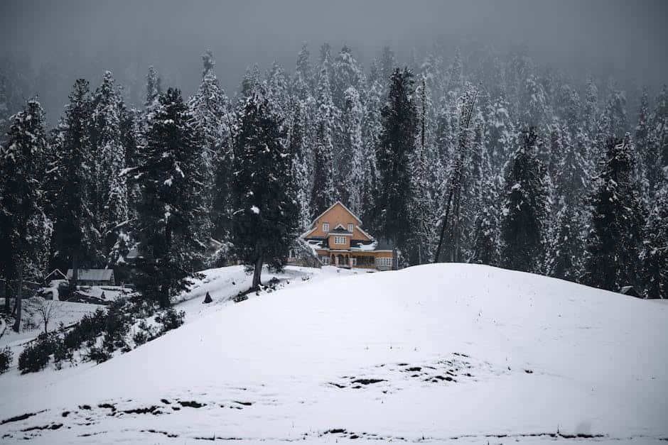 Deluxe Eight-Night Kashmir Retreat: Premium Lodges & Private Experiences