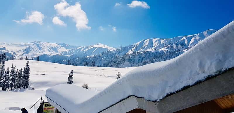 Gulmarg Family Adventure (5 Nights): Meadows, Gondola & Snow Play