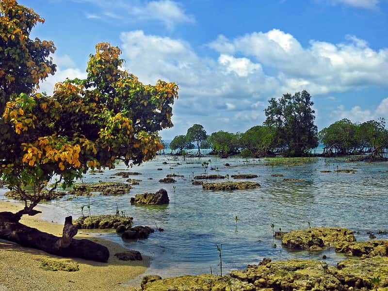 Couples' Coastal Escape: Neil Island Romantic Short Stay