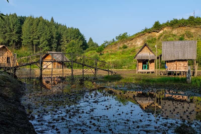 Ziro Valley Quick Retreat: Apatani Culture & Pine Hills