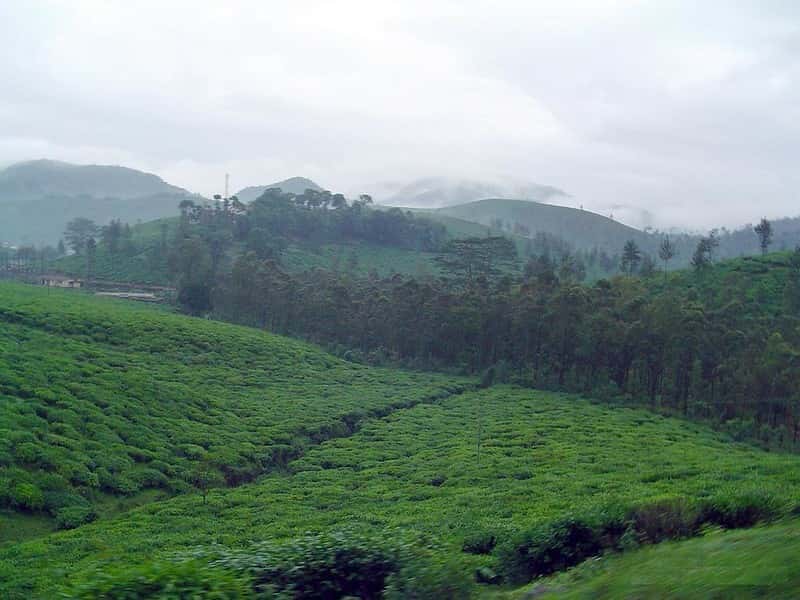 Silchar & Barak Valley Escape: Heritage, Hills & Tea