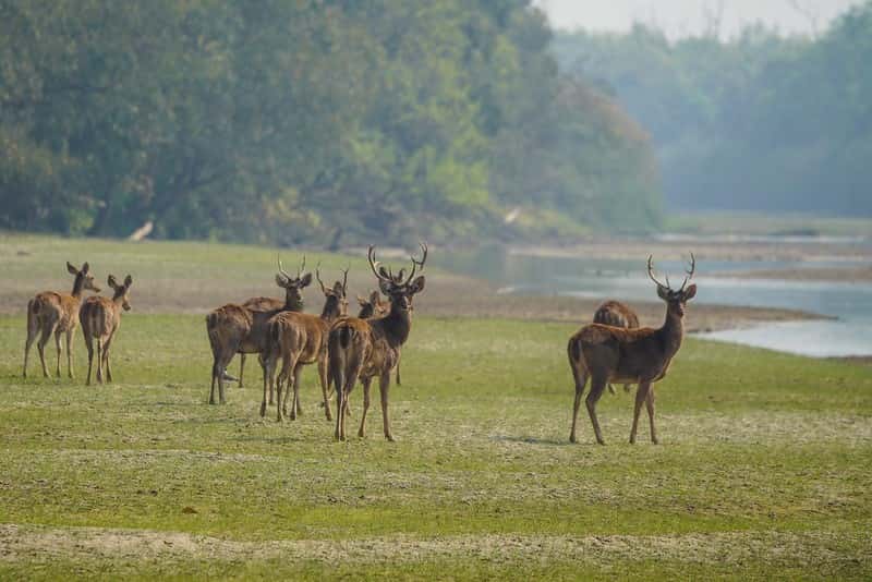 Arunachal & Assam Discovery: Cultural Villages & Wildlife