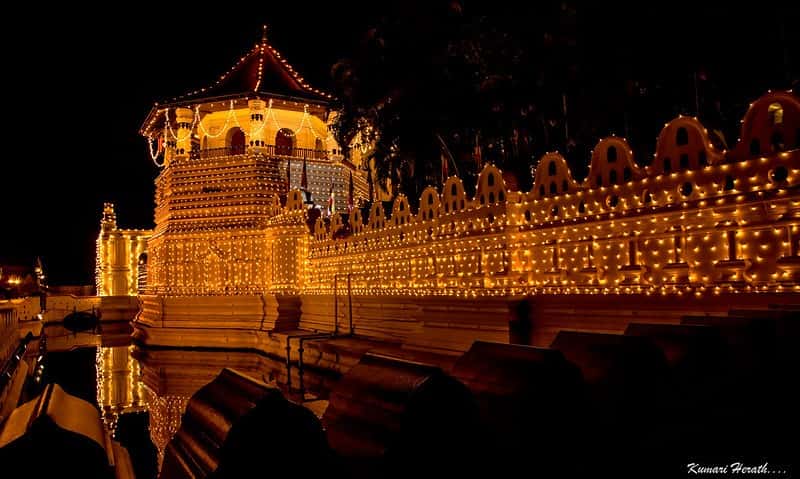 Kandy Cultural Short Break: Temple of the Tooth & Tea Trails