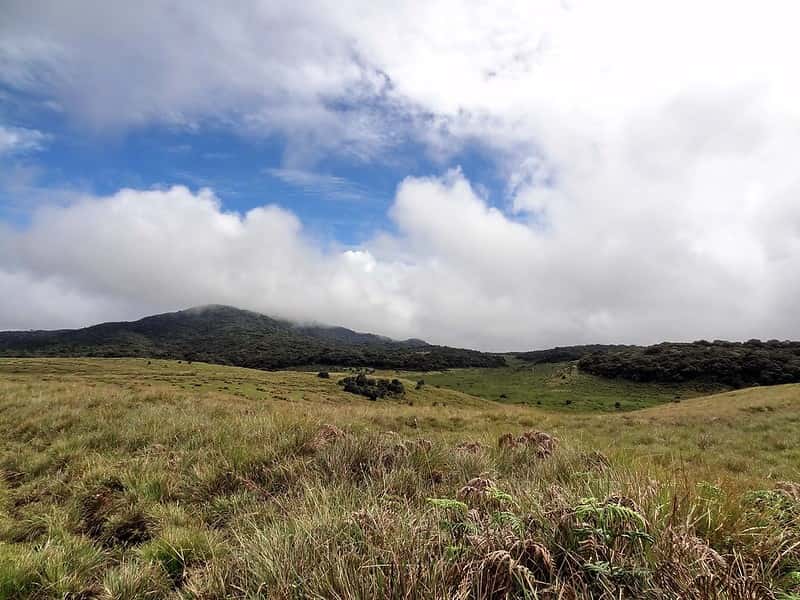 Wildlife and Tea Country: Nuwara Eliya & Horton Plains 4-Night Escape