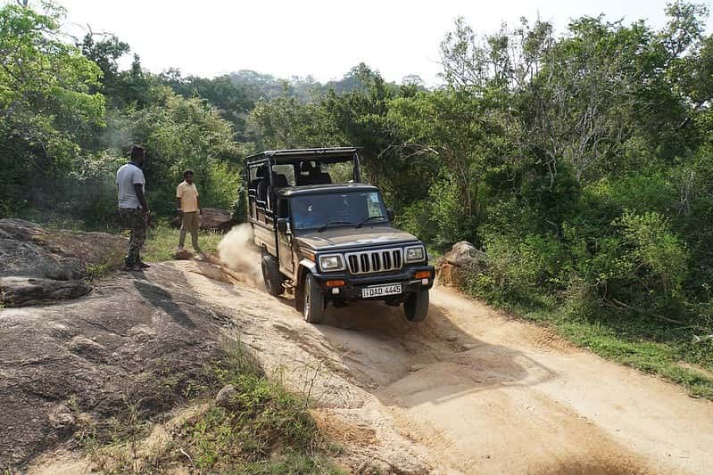 Yala Safari and Coastal Relaxation: Wildlife and Beaches 5-Night Package