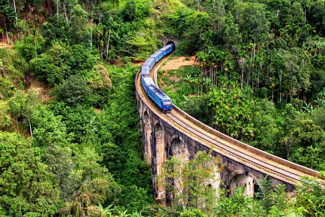 Luxury Train and Coastal Retreat: 7-Night Signature Sri Lanka Journey