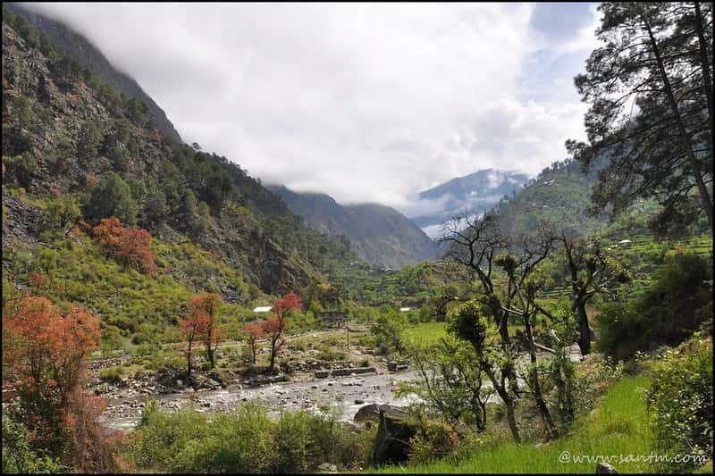 Tirthan Valley Nature Escape 5 Nights: Trout & Trek Trails