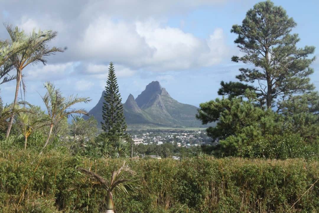 Mauritius Wildlife & Nature 5-Night Tour: Birdwatching & Conservatory Visits
