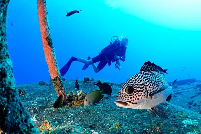 Mauritius Adventure 8-Night Active Tour: Hiking, Diving & Kitesurfing Lessons