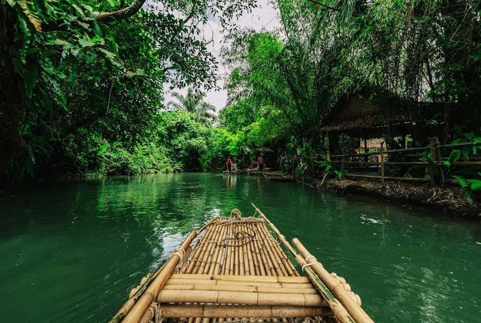 Adventure in Khao Sok: Jungle Trek, Canoe & Riverside Camping Adventure in Khao Sok: Jungle Trek, Canoe & Riverside Camping