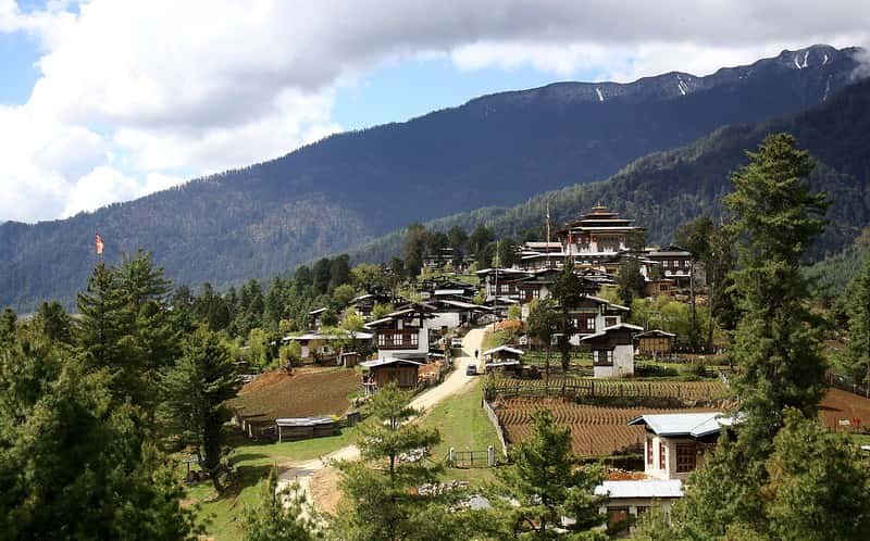 Gangtey Phobjikha Valley: Himalayan Crane & Nature Walks