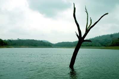 Thekkady