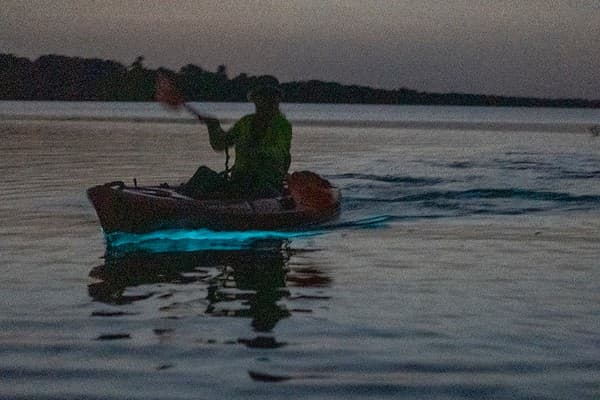 Night bioluminescence kayaking Photo 1