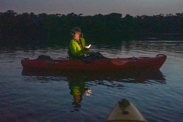 Night bioluminescence kayaking