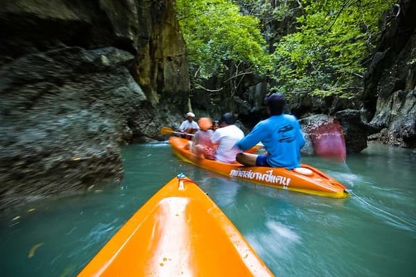 Mangrove kayaking
