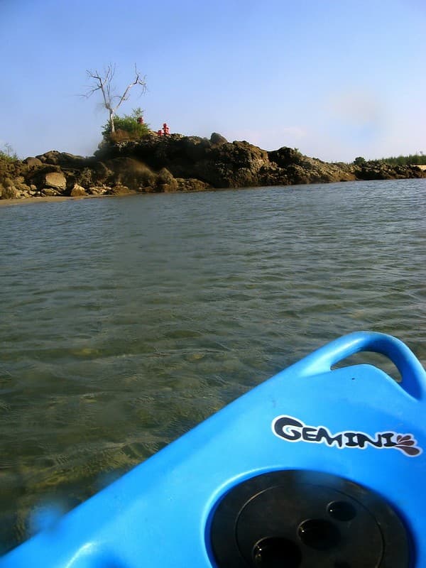Mangrove kayaking Photo 3