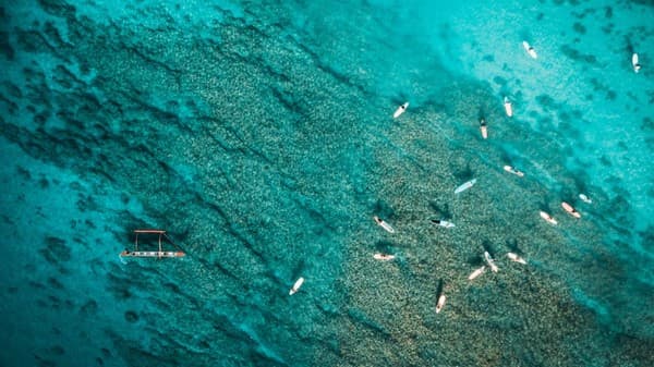 Glass-bottom boat rides over coral reefs Photo 1
