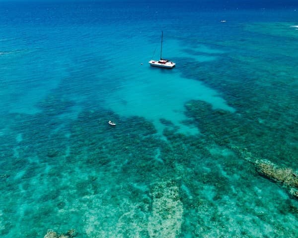 Glass-bottom boat rides over coral reefs Photo 3
