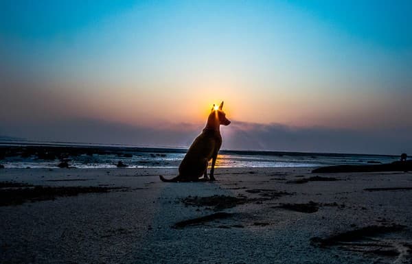 Kalapathar Beach sunrise Photo 3