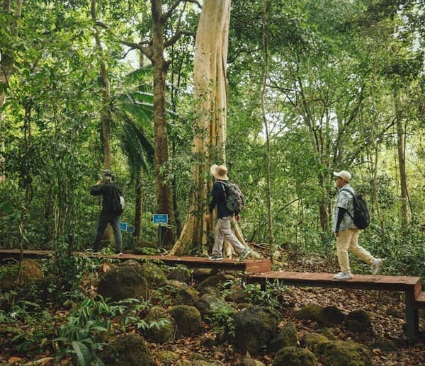 Jungle trek to Elephant Beach Photo 3