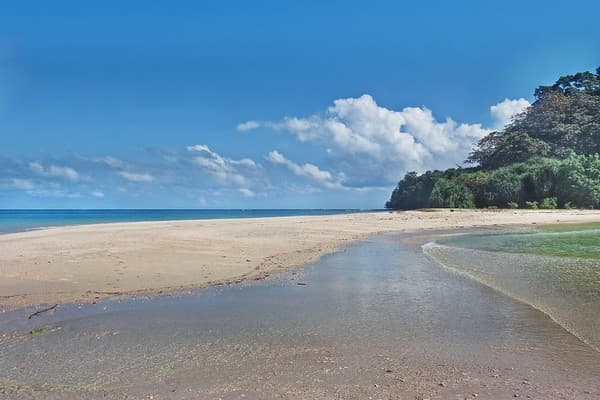 Explore Ross Island ruins Photo 3