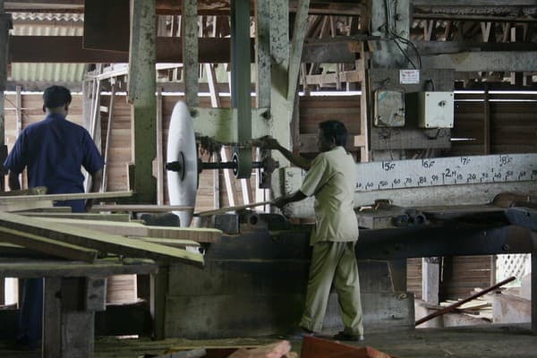 Chatham Saw Mill & Forest Museum Photo 2