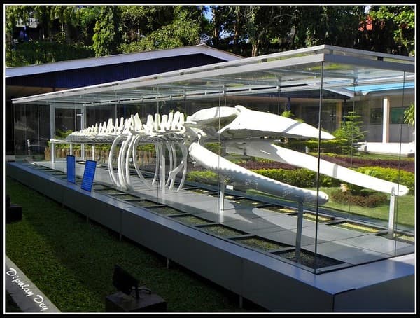 Samudrika Naval Marine Museum Photo 3