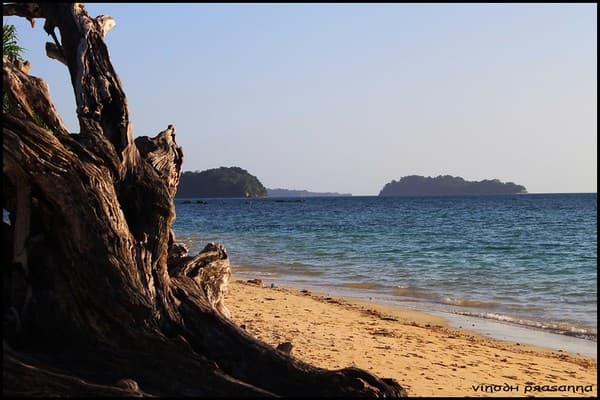 Wandoor Beach and Marine National Park Photo 1