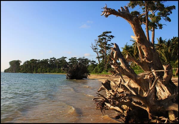 Wandoor Beach and Marine National Park Photo 2