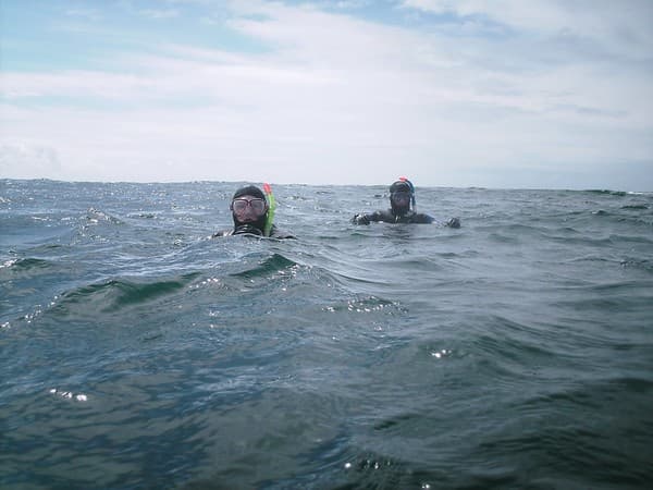 Snorkeling at Jolly Buoy Island Photo 3