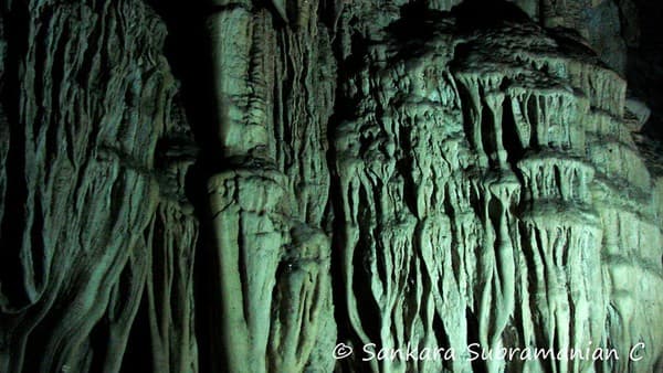 Baratang Island limestone caves trip Photo 3