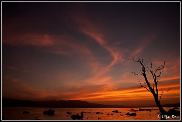Chidiya Tapu sunset and birdwatching Photo 2