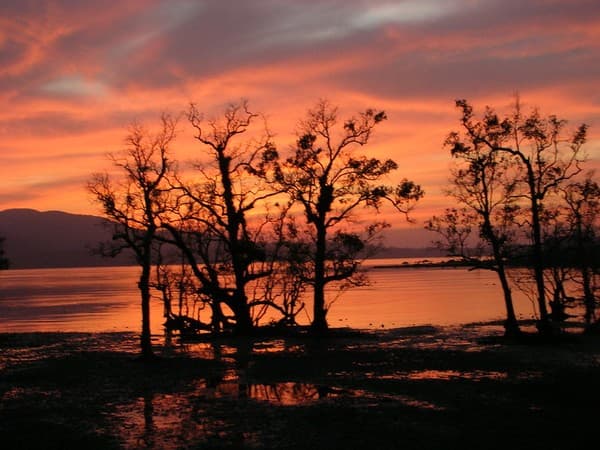 Chidiya Tapu sunset and birdwatching Photo 3